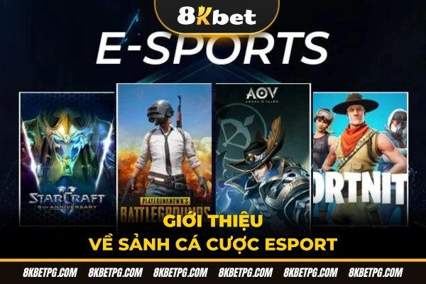 Giới thiệu về sảnh cá cược Esport